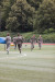 Summerschool 2014-122_internet