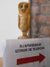 Summerschool 2014-466_internet
