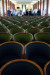 Summerschool 2014-837_internet