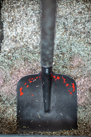 SLIDES-wcm-summerschool-2025-21