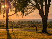 SLIDES-wcm-summerschool-2025-47