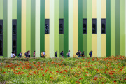 SLIDES-wcm-summerschool-2025-5